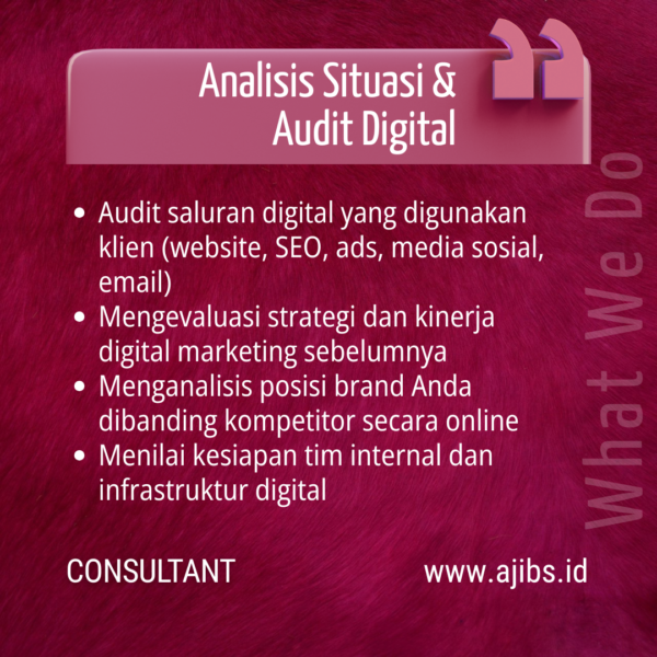 Digital Marketing Consultant Service (3)